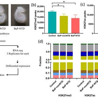 Afbeeldingsresultaten voor Frontier Profiling Histone Modification