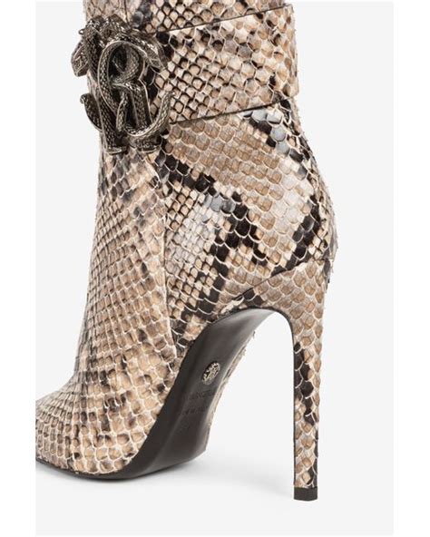 Roberto Cavalli Python Boots ପାଇଁ ପ୍ରତିଛବି ଫଳାଫଳ