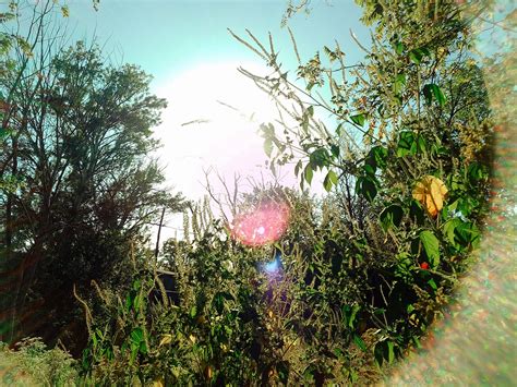 Image result for Camp Snap Filter Examples