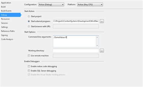Toradh íomhá ar vs Code Debug with Command Line Arguments