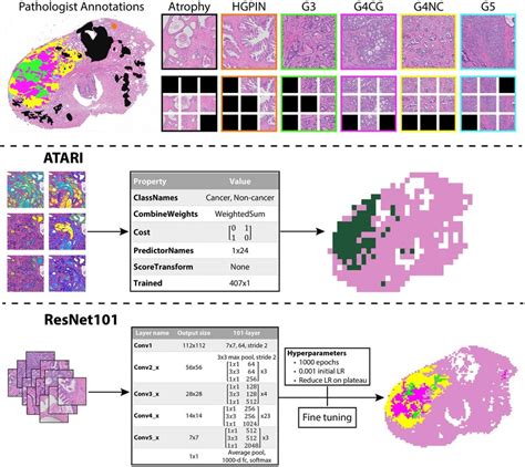 Toradh íomhá ar Annotation Map Tile Types R