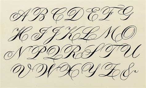 Image result for Cursive Calligraphy Alphabet