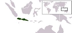 Image result for Java Men Island