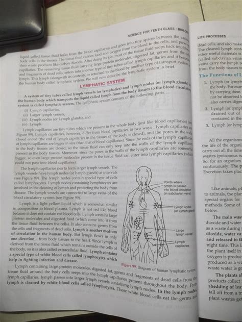 Image result for What Is Lymph Class 10