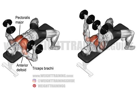 Image result for How to Dumbbell Press