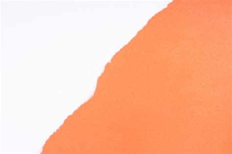 Image result for Reflection Paper Background Design with Line