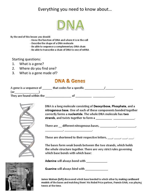 Image result for Decoding DNA Worksheet