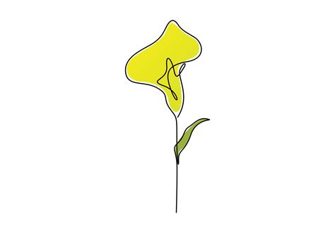 Image result for Calla Lily Line Drawing