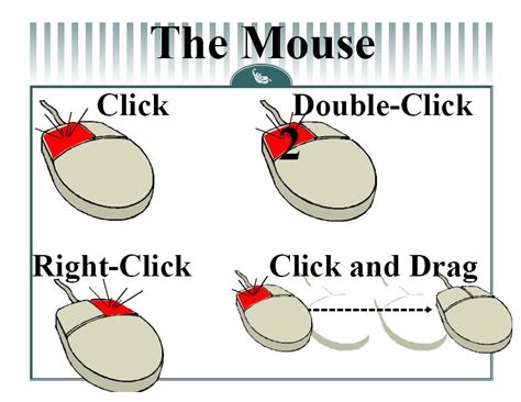 Right Click On Mouse Visual Representation に対する画像結果