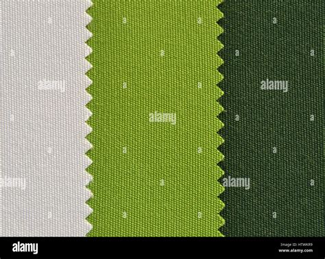 Image result for Pattern Texture Color Green