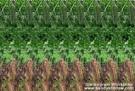 Toradh íomhá ar Stereogram Maker