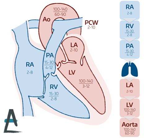 Heart Pressures Diagram에 대한 이미지 결과