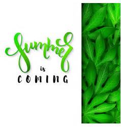 Image result for Forest Background Vector