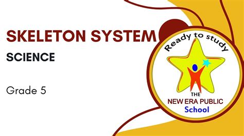 Image result for Binocs Skeletal System Grade 5