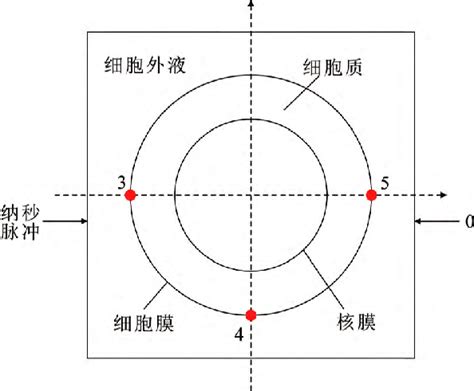 Image result for Computer Model Simulation Theory Diagram
