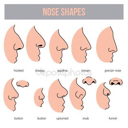 Different Ear Shapes Human に対する画像結果