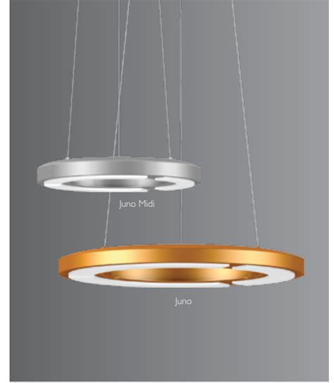 Image result for K-Lite Juno Sketch