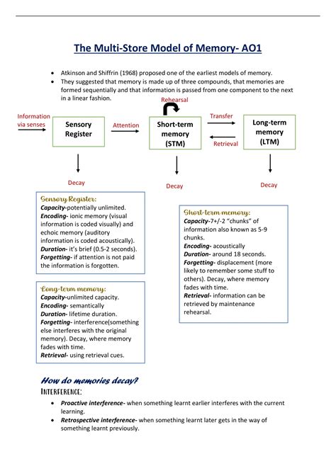 Multi-Store Model of Memory Kids に対する画像結果