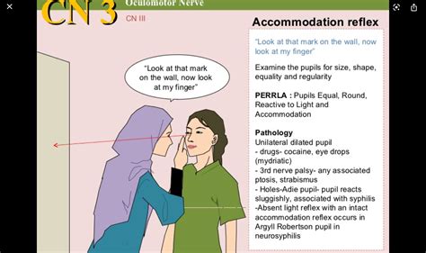 Image result for Accommodation Eye Test