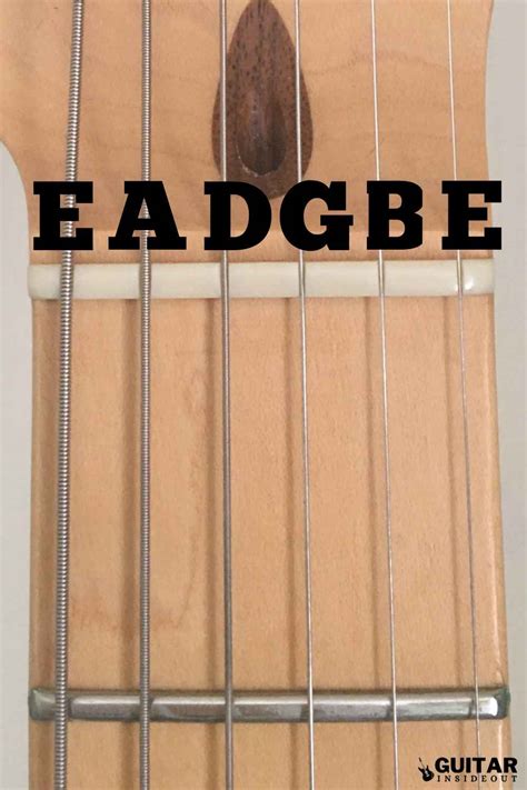 Toradh íomhá ar String Bass Strings Names