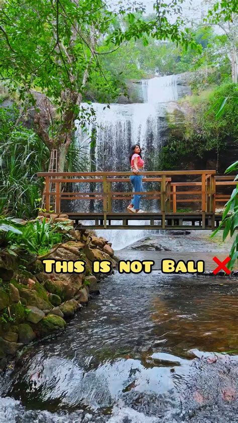 Image result for Champakasarasi Pond