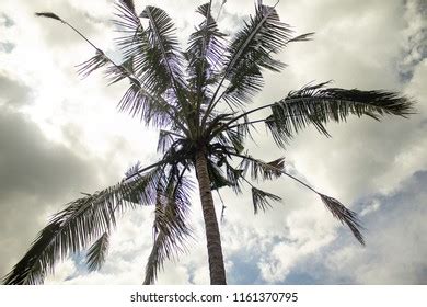 78 Category 3 Hurricane Images, Stock Photos, 3D objects, & Vectors ...