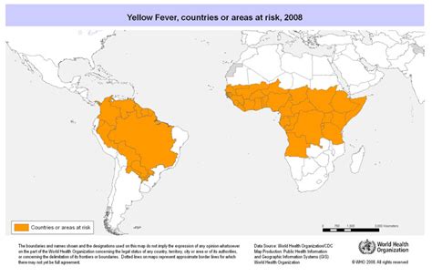 Toradh íomhá ar Yellow Fever Virus