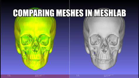 MeshLab Yellow Color に対する画像結果