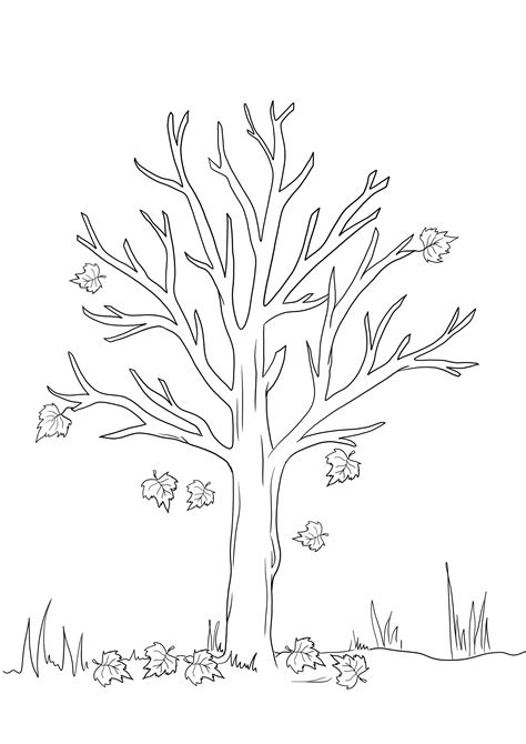 Fall Tree Coloring Pages Printable に対する画像結果
