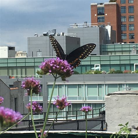 Bildergebnis für LLM Open Source Landscape