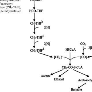 Toradh íomhá ar Reductive Dechlorination Pathway