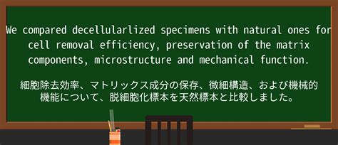 Matrix Falling Words に対する画像結果