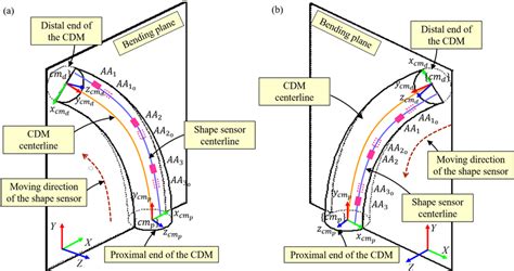 Image result for Positive and Negative Deflection