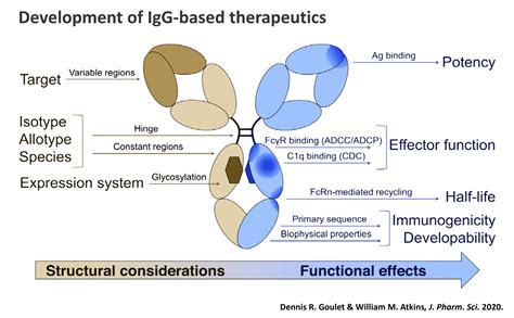 Image result for Develop Ability Gap Biologics Development