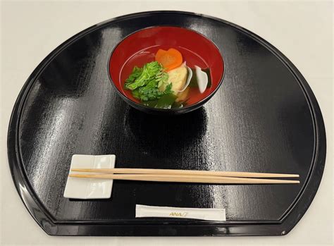 Image result for All Nippon Airways First Class