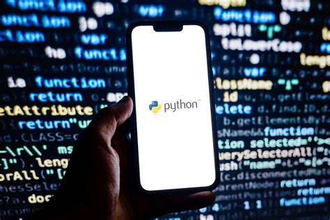 Image result for Rye Python
