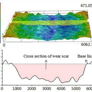 Image result for Cross-Sectional Area Diagram