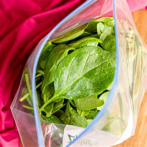 Image result for How to Freeze Spinach Leaves