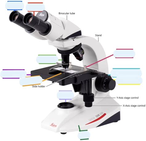 Image result for Lab 2 Test Quizlet