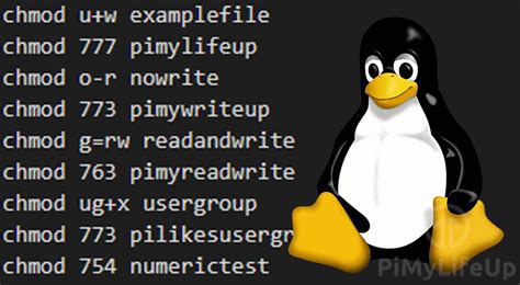 Image result for Linux Chmod Used