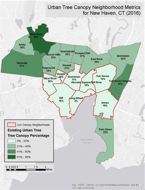 Tree Canopy Map Coverage に対する画像結果