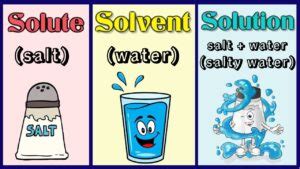 Image result for Examples of Solvent Substance