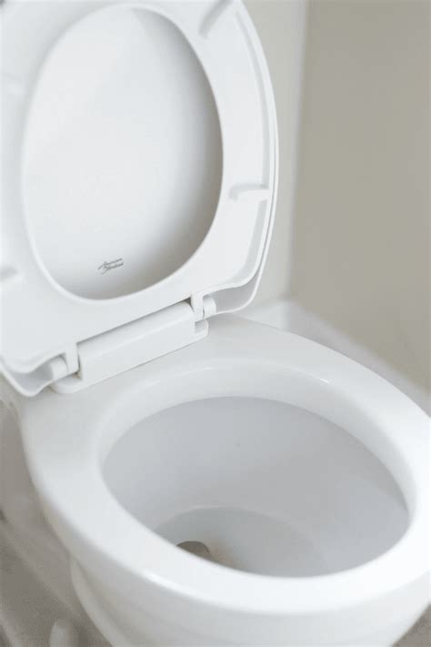 How to Unplug a Clogged Toilet に対する画像結果