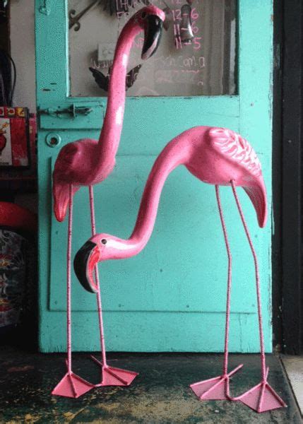 Anything Flamingo に対する画像結果