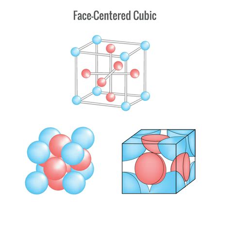 Toradh íomhá ar Structure System Types for Face De