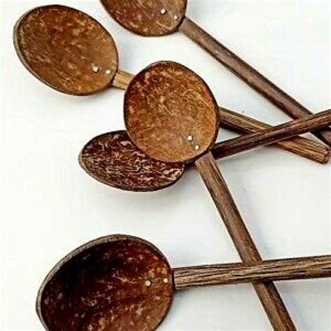 Coconut Shell に対する画像結果