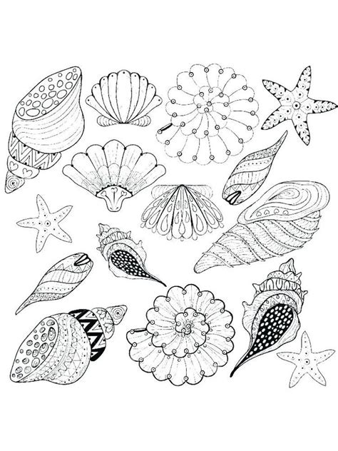 Image result for Shellfish Color Page