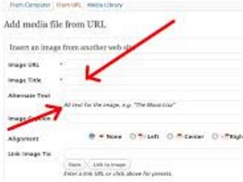 Afbeeldingsresultaten voor What Is an Alt Attribute HTML