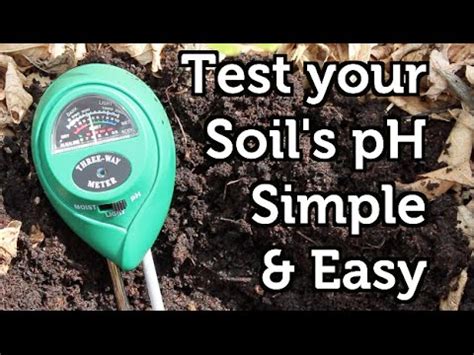 Image result for How to Check and Balance Ph in Soil