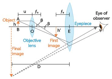 Image result for Angular Magnification of Compound Microscope
